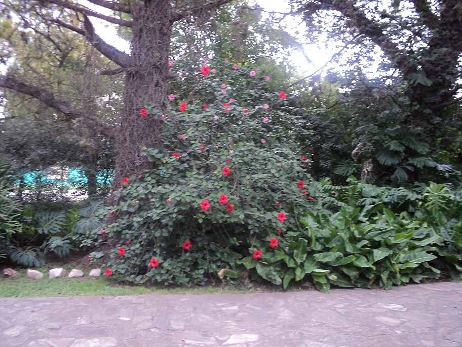 Casa quinta en garita 10