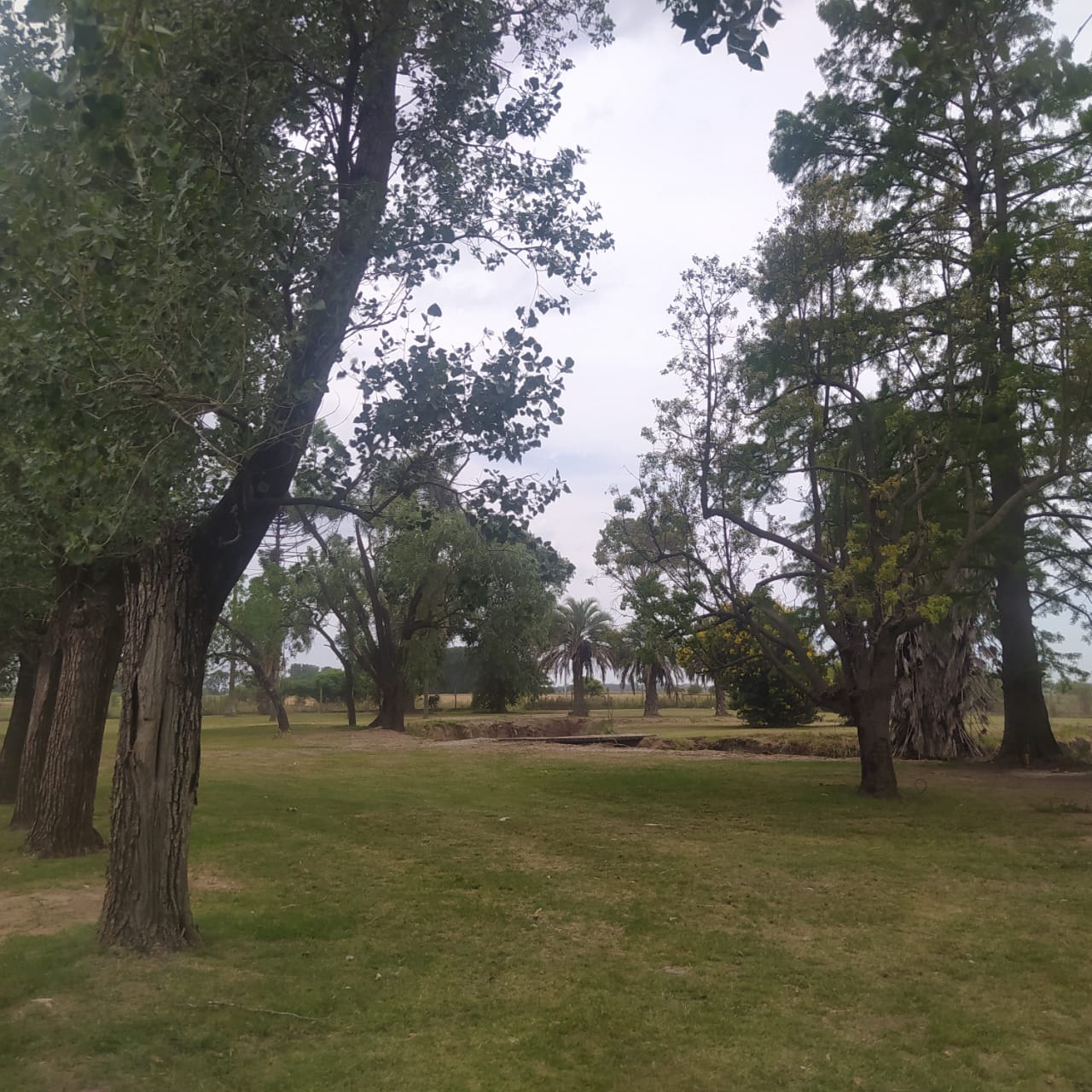 Quinta Residencial Natacha – 110.00O mtr2