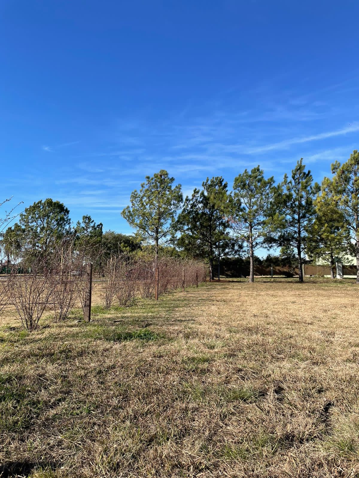 Lote en Don Mateo Etapa 1