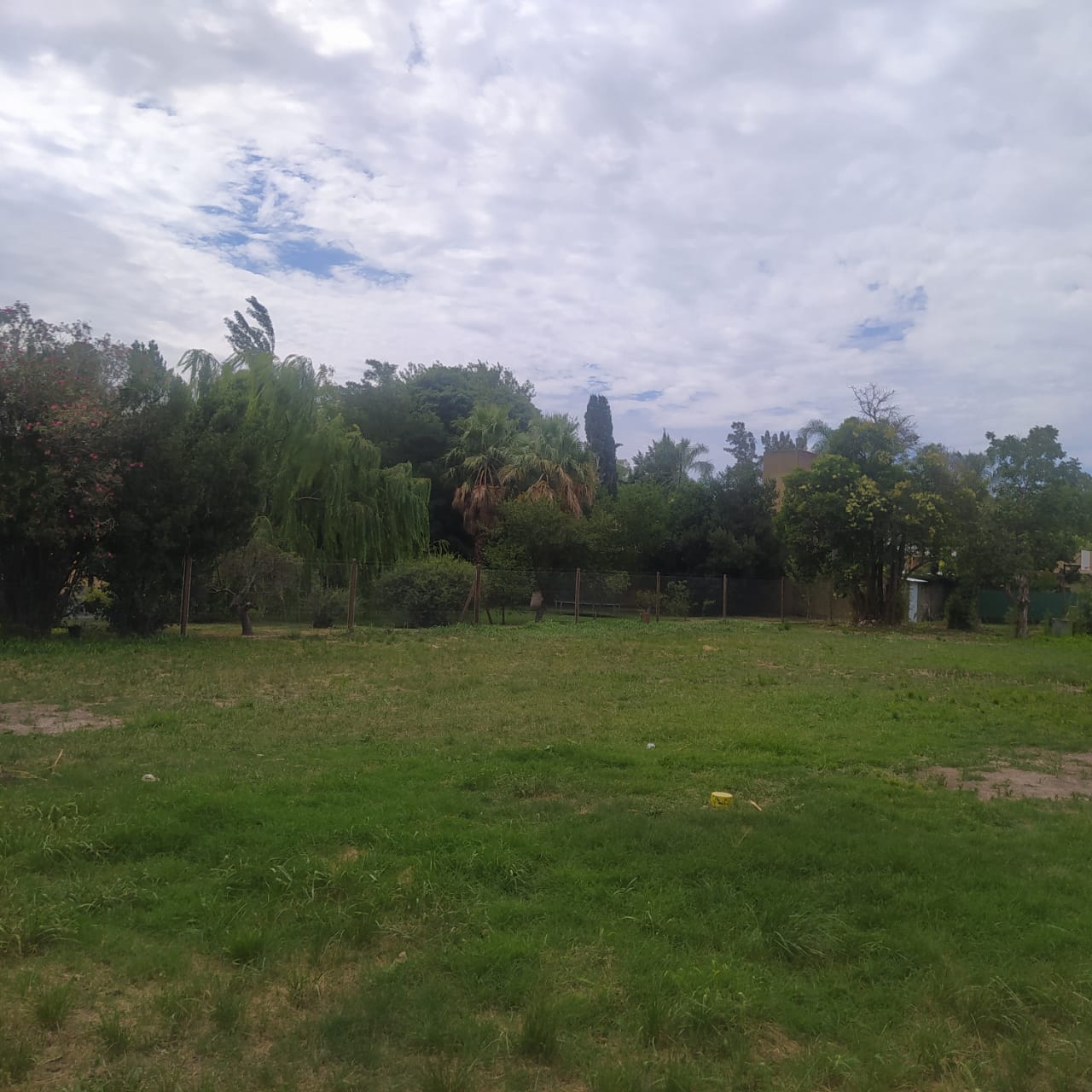 Terreno en zona residencial