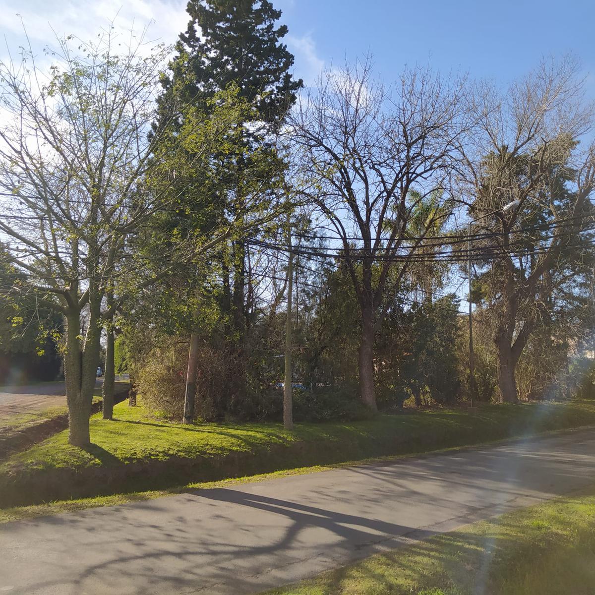 Terreno  arbolado en Av. San Nicolás esquina Pueyrredón