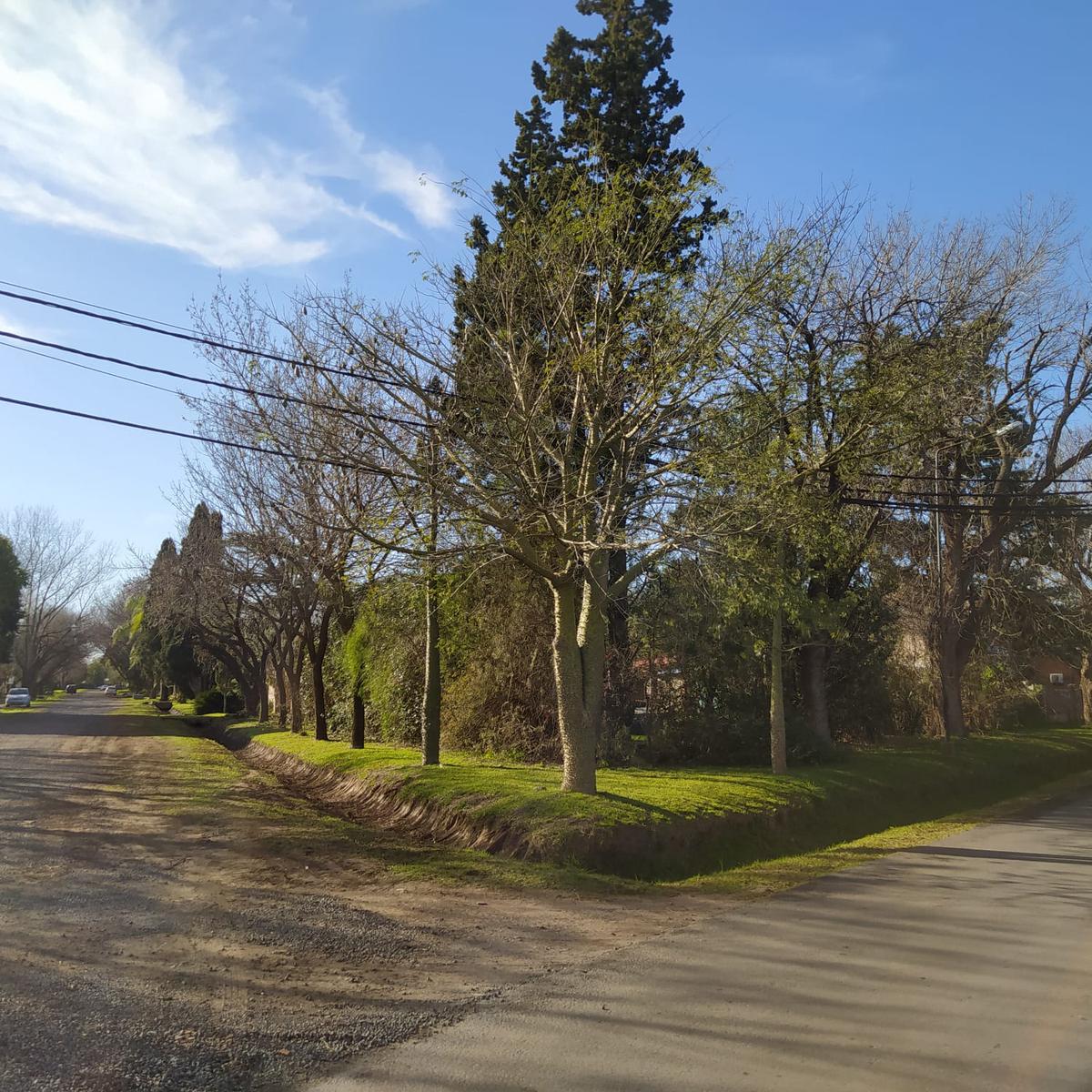 Terreno  arbolado en Av. San Nicolás esquina Pueyrredón