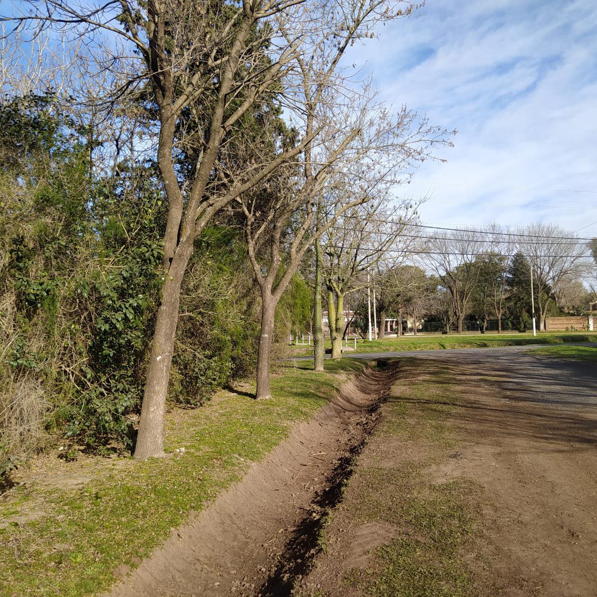 Terreno  arbolado en Av. San Nicolás esquina Pueyrredón