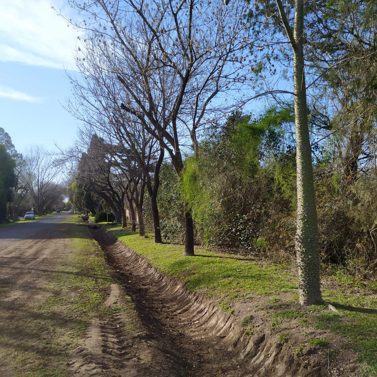 Terreno  arbolado en Av. San Nicolás esquina Pueyrredón
