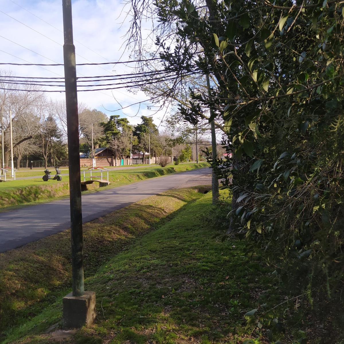 Terreno  arbolado en Av. San Nicolás esquina Pueyrredón
