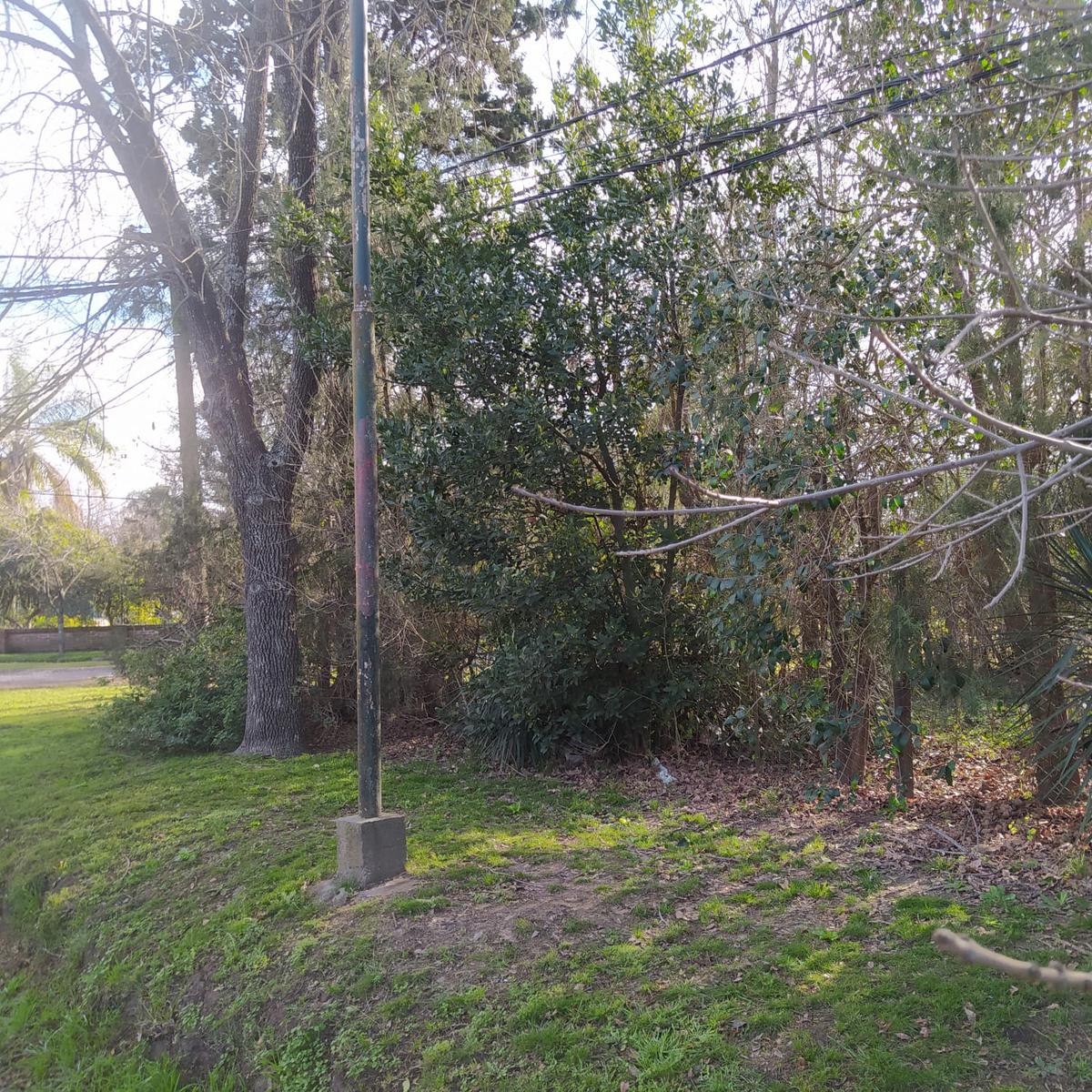 Terreno  arbolado en Av. San Nicolás esquina Pueyrredón