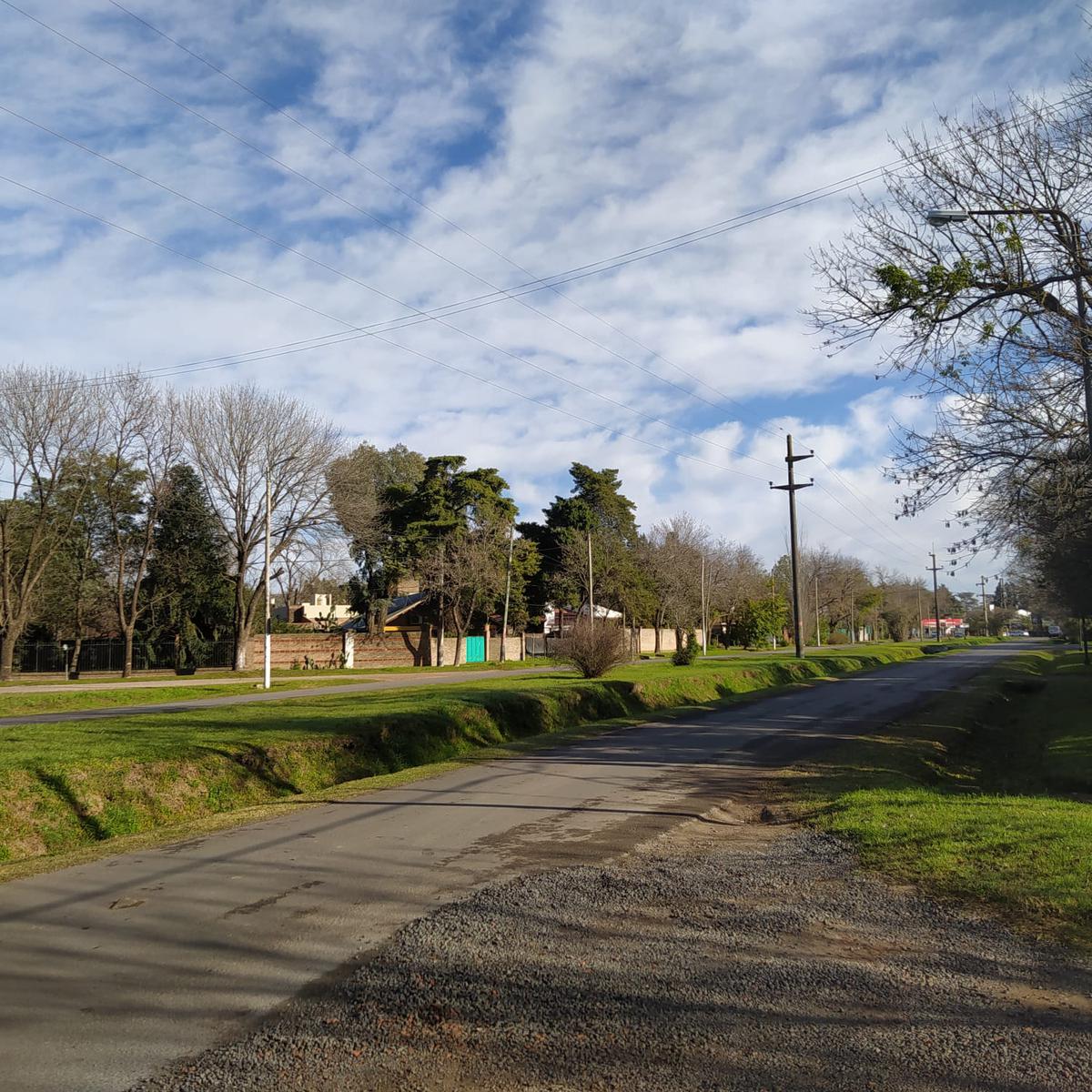 Terreno  arbolado en Av. San Nicolás esquina Pueyrredón