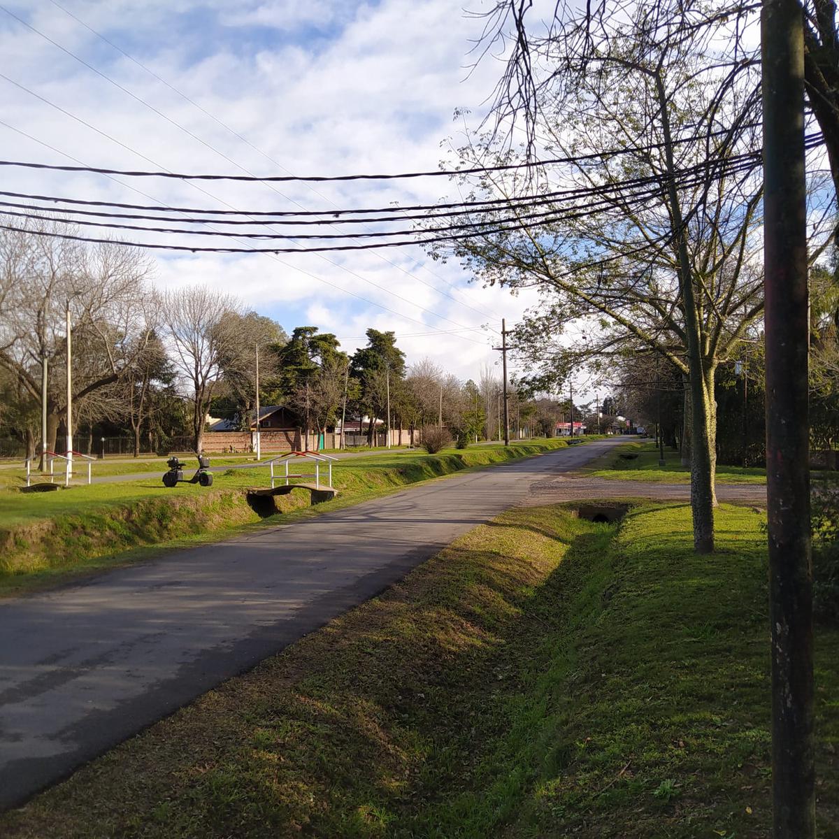 Terreno  arbolado en Av. San Nicolás esquina Pueyrredón
