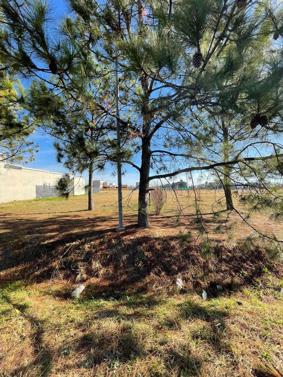 Terreno en calle Los Tizones al 3100