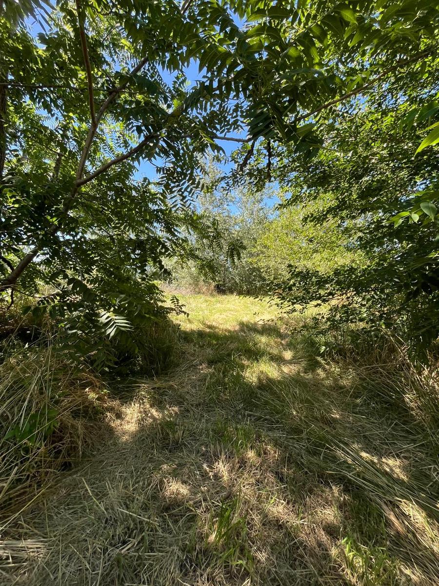 Terreno en calle Santa Clara al 200 – Roldan