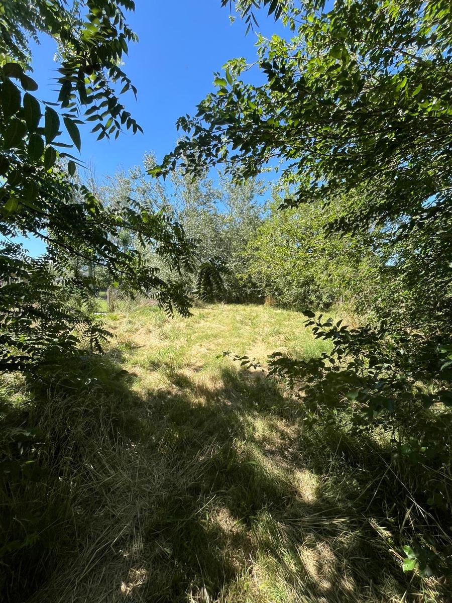 Terreno en calle Santa Clara al 200 – Roldan