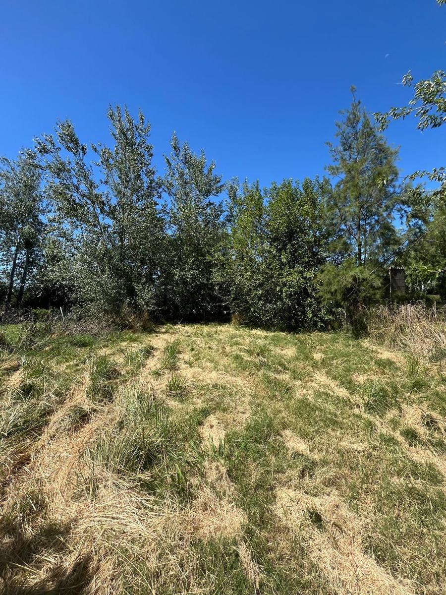 Terreno en calle Santa Clara al 200 – Roldan