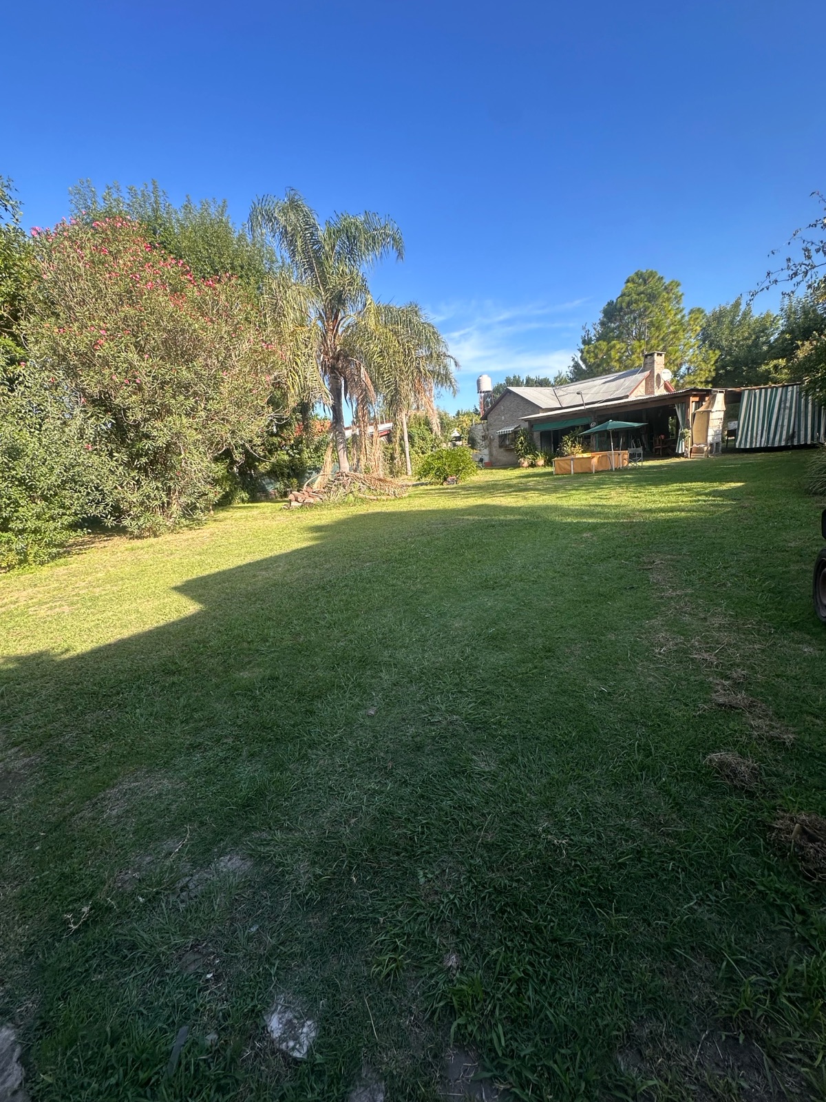 José ingenieros al 5700