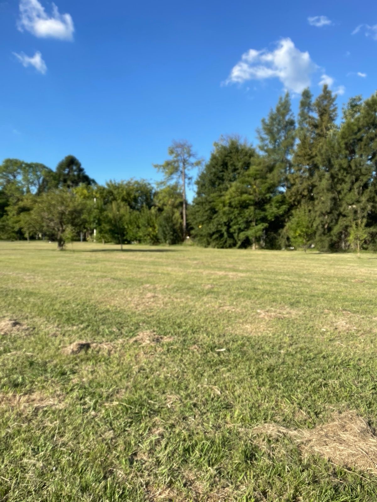 Juan Manuel de rosas al 6000