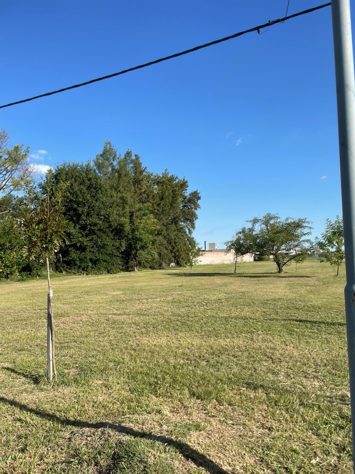 Juan Manuel de rosas al 6000