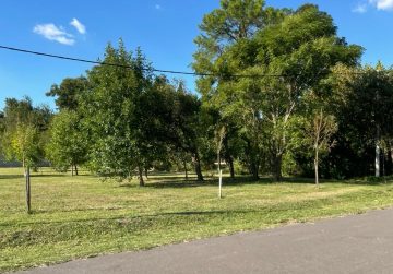 Juan Manuel de rosas al 6000