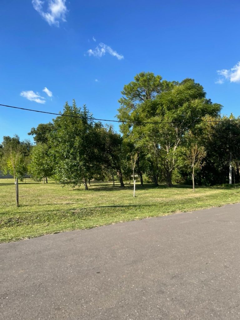 Juan Manuel de rosas al 6000