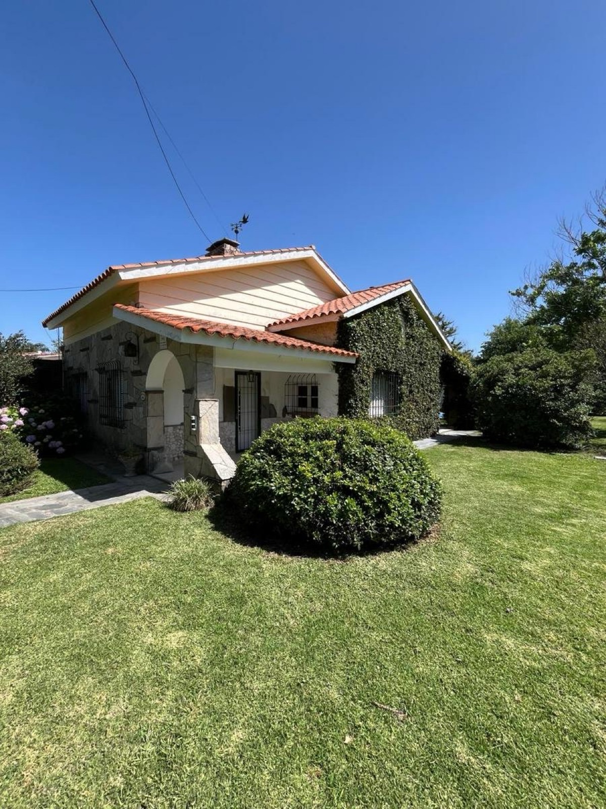 Pedro A. Ríos  al 2100