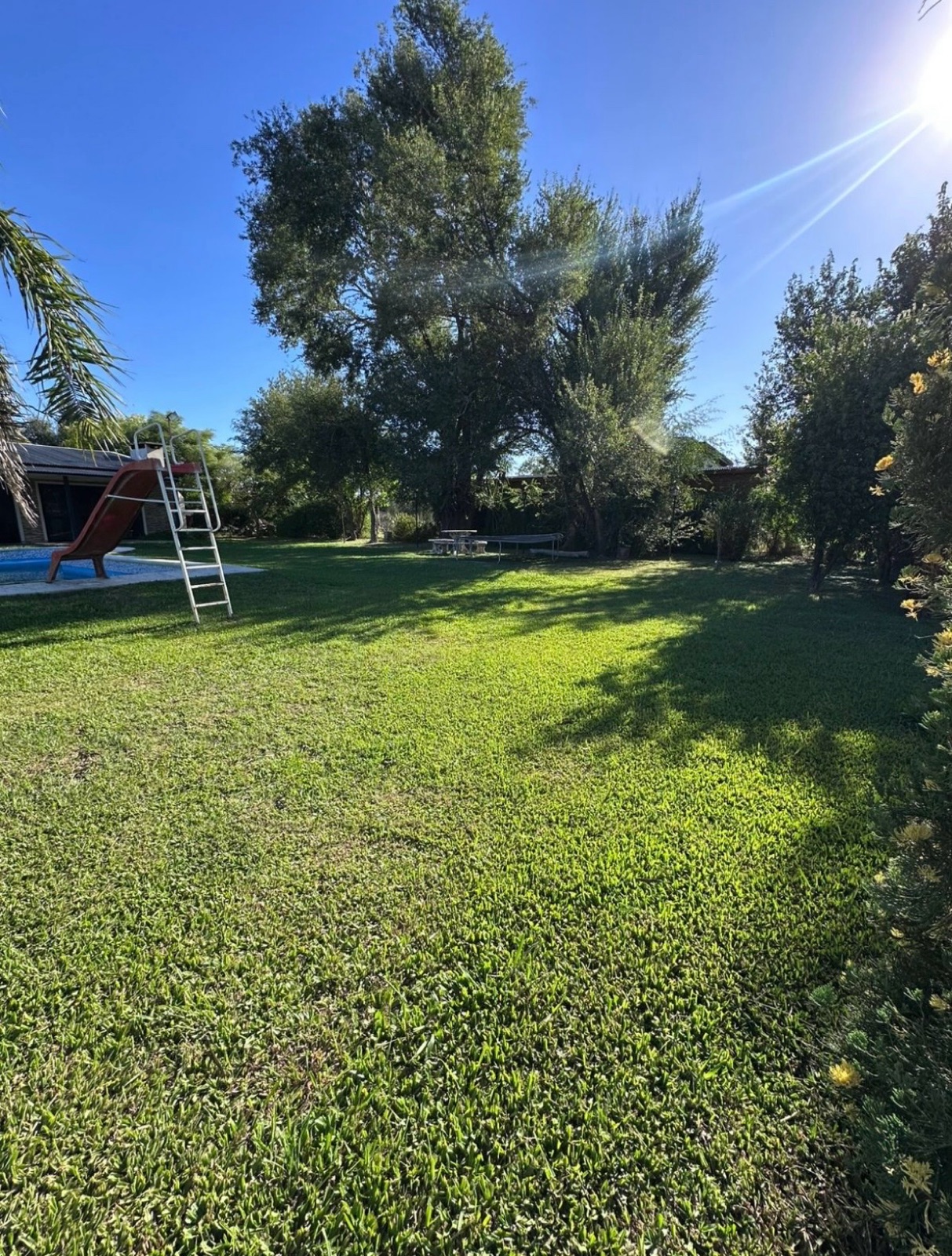 Scalabrini Ortiz al 600