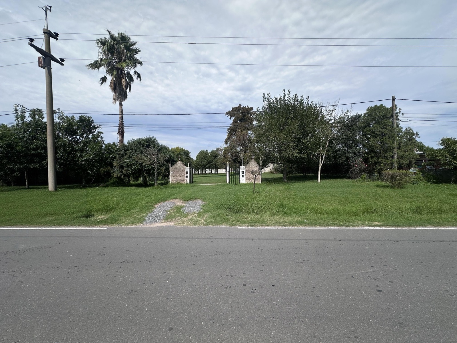 Tomas de la Torre 63