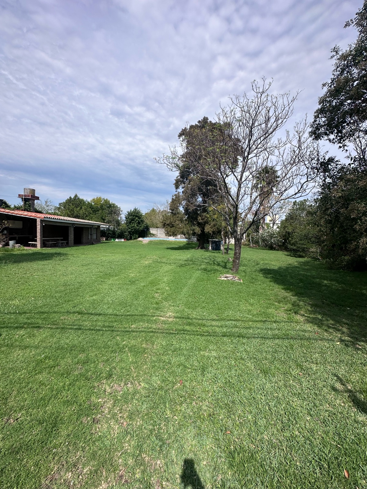 Tomas de la Torre 63