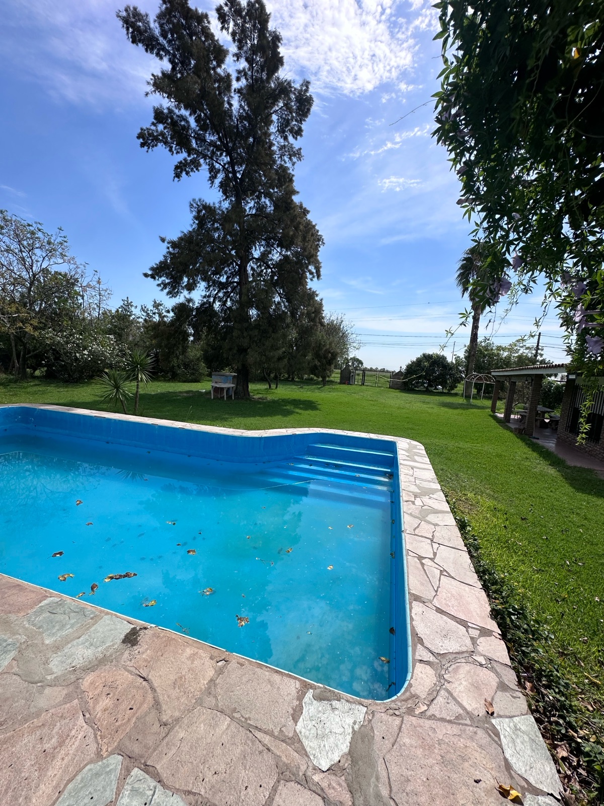 Tomas de la Torre 63