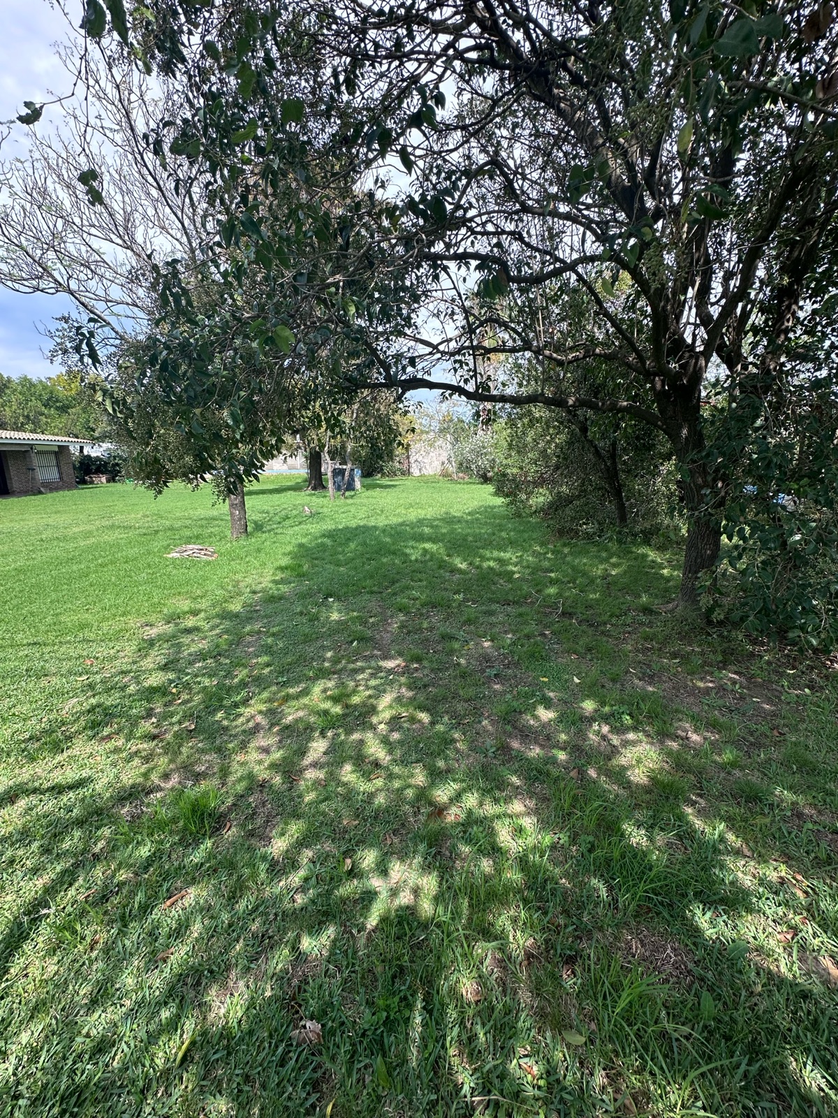 Tomas de la Torre 63