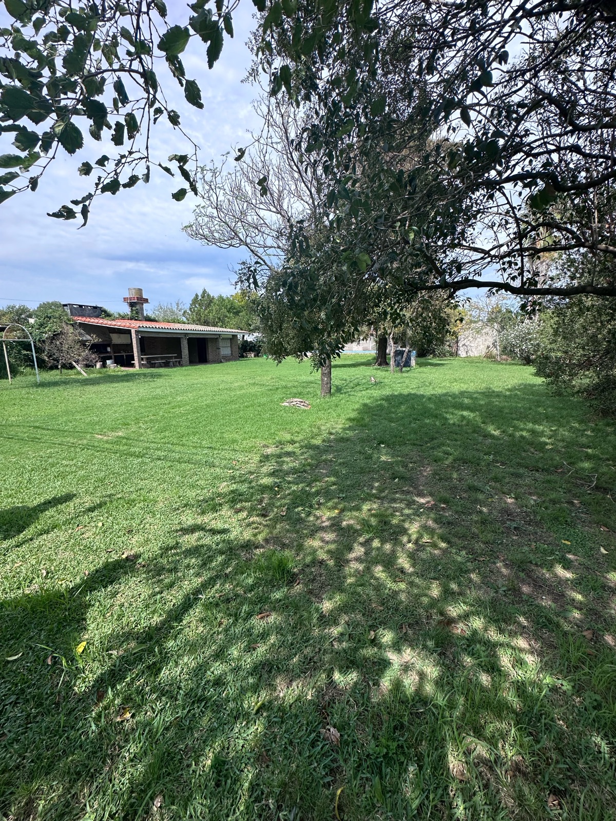 Tomas de la Torre 63