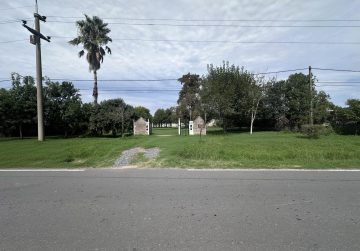 Tomas de la Torre 63