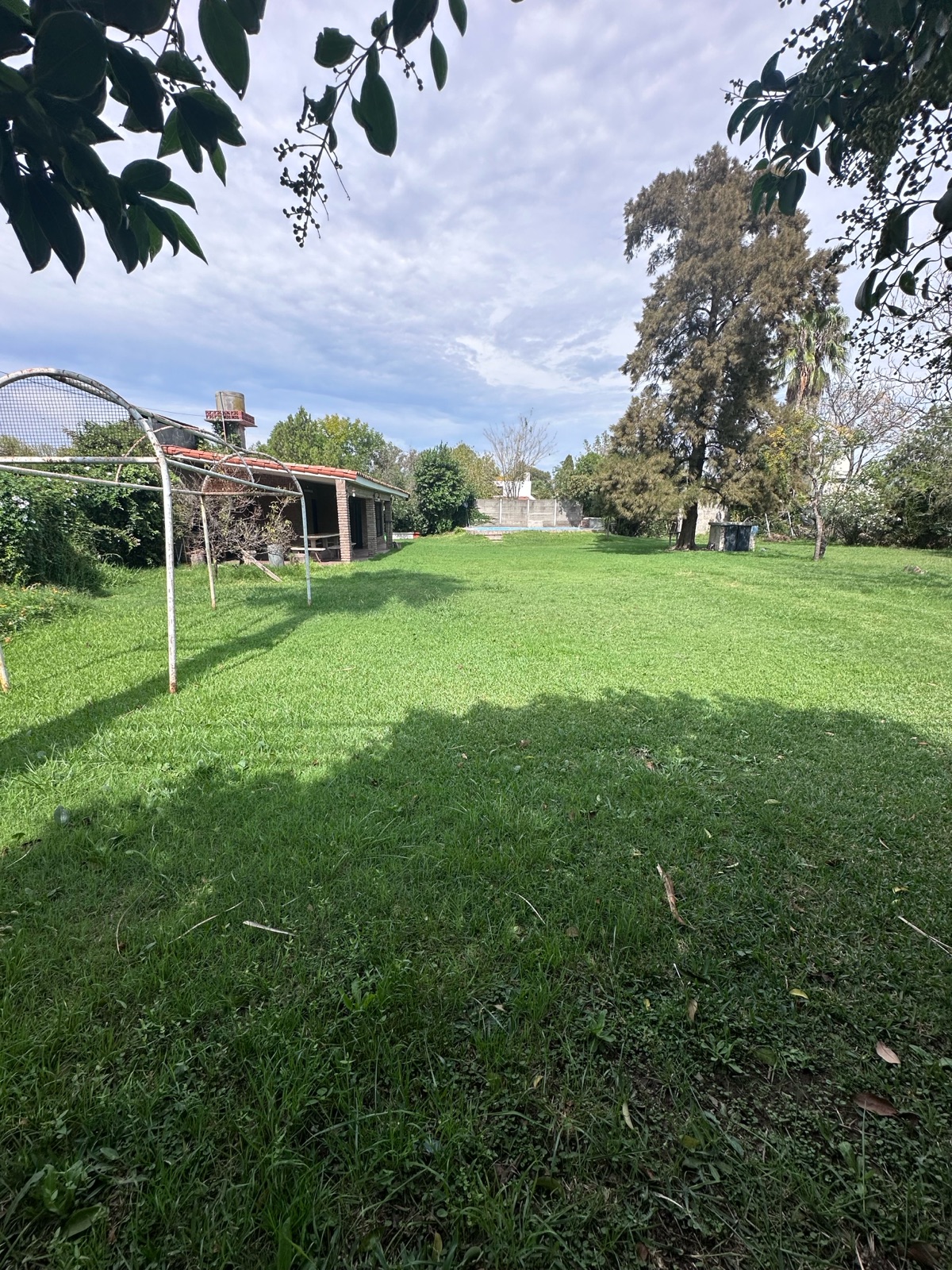 Tomas de la Torre 63